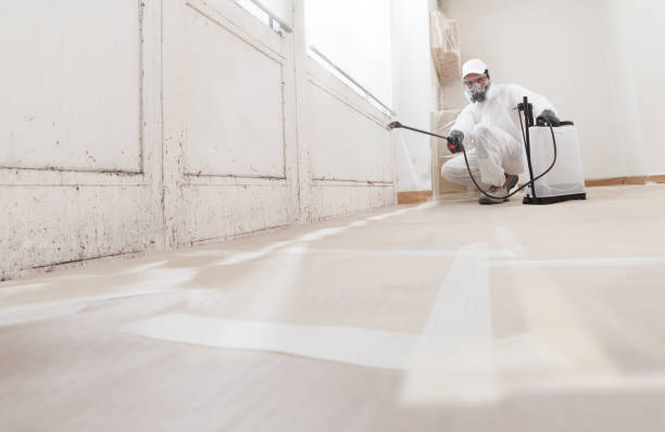 24/7 Emergency Black Mold Remediation experts in Mount Holly, NJ