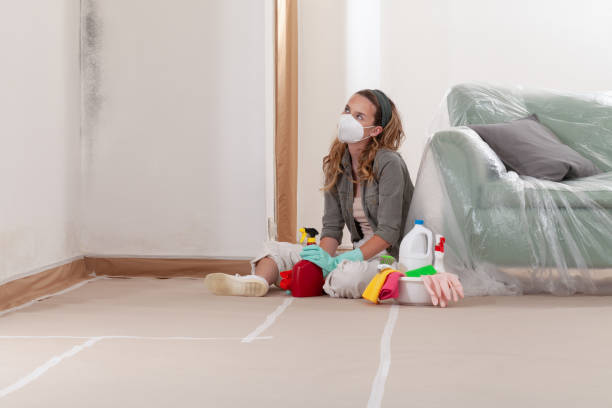 Reliable Black Mold Remediation contractor in Mount Holly, NJ by 24 Hour Mold Removal